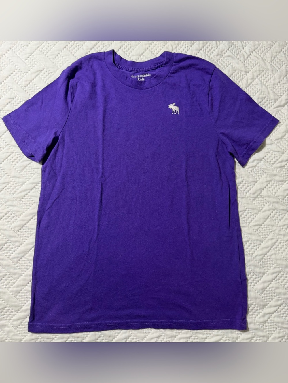 abercrombie kids Purple Short Sleeve Logo Tee
